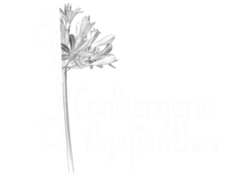 Logo et lien vers la conciergerie : La Conciergerie des Agapanthes